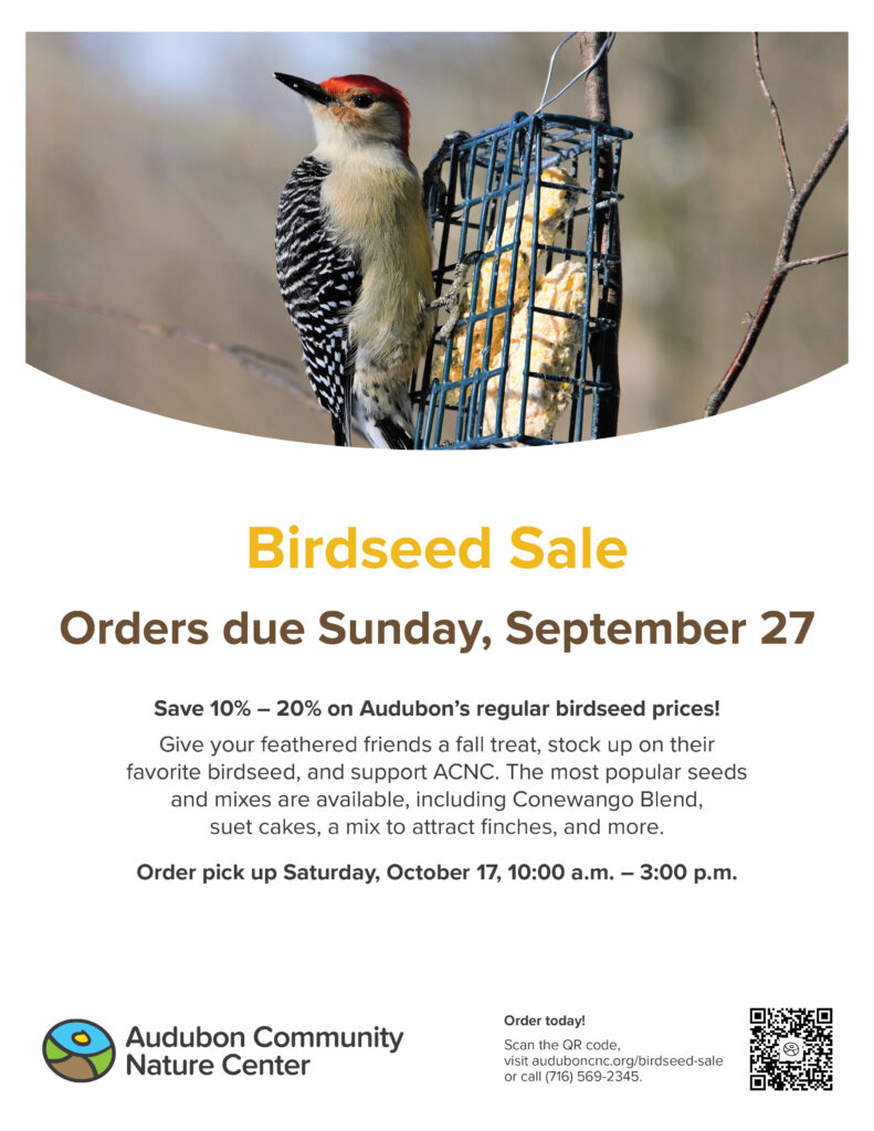 Poster with picture of red-bellied Woodpecker on suet block