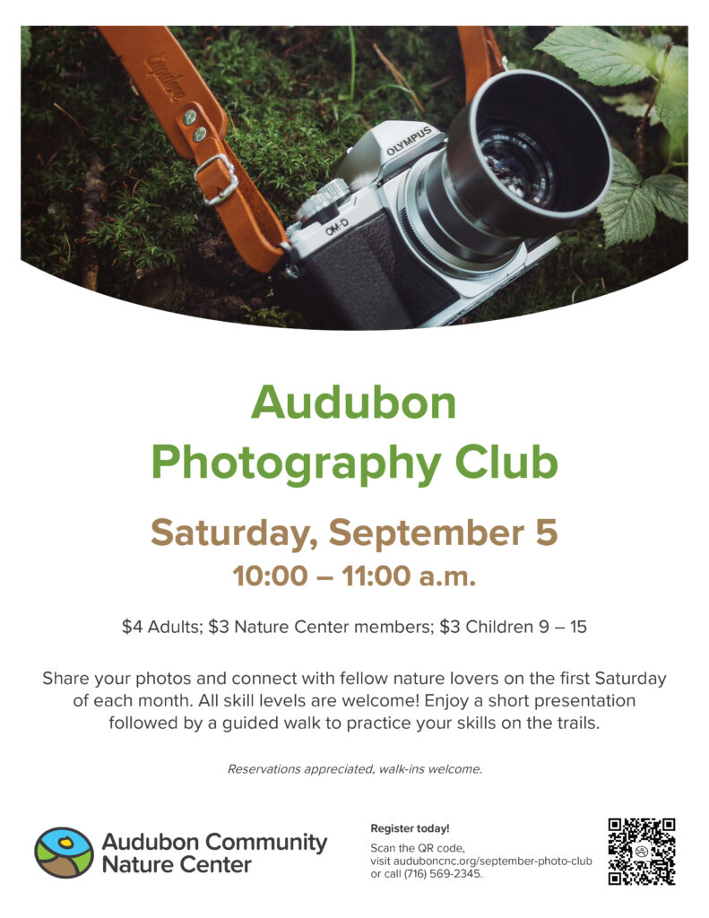 poster with picture of camera