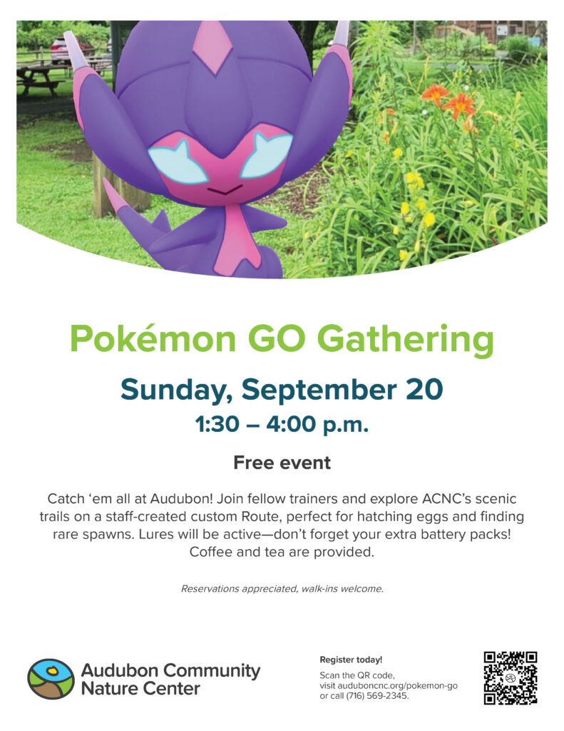 poster with picture of inflatable Poke'mon in a garden